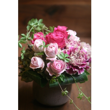 framboise